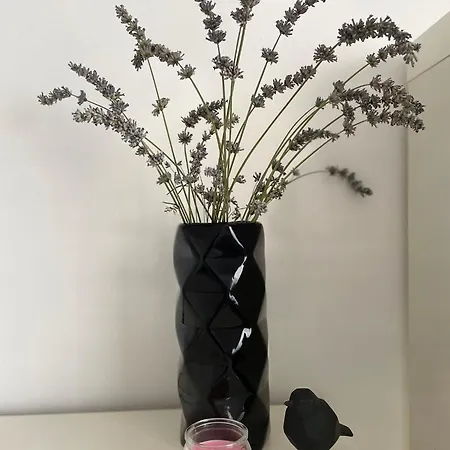 Apartma S Apartman